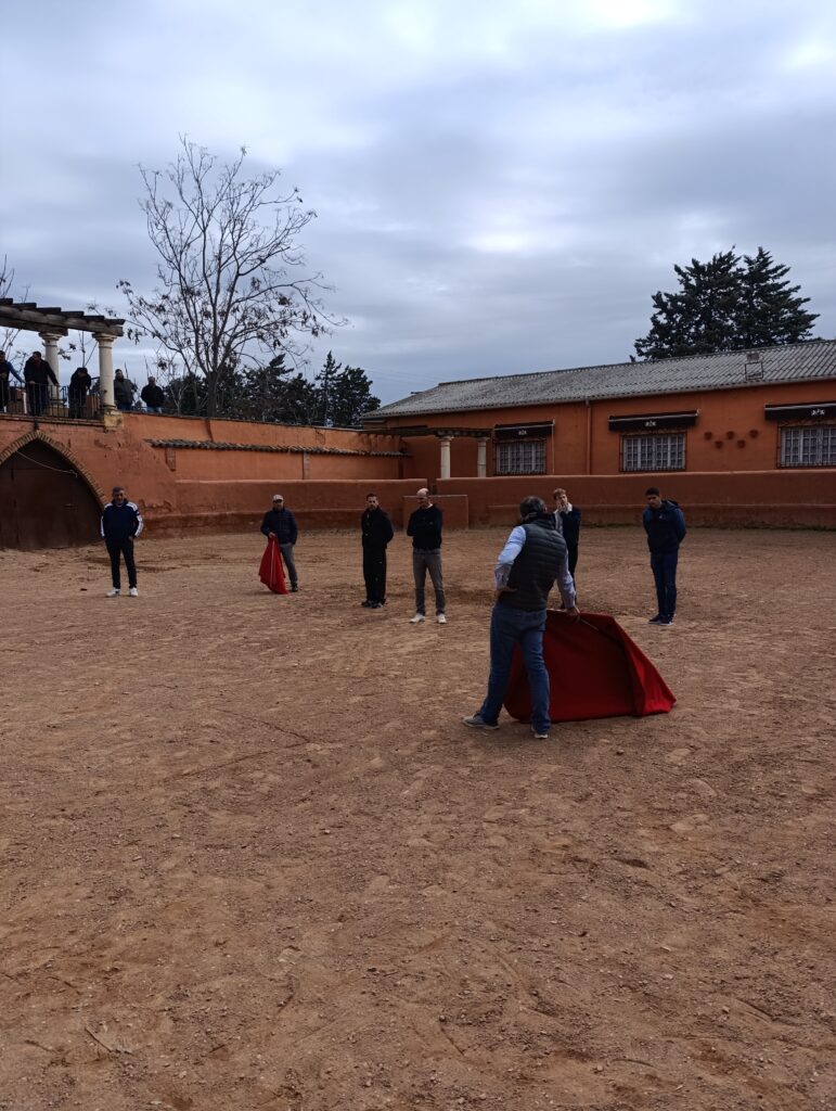curso-toreo