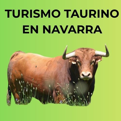 turismo-taurino-navarra